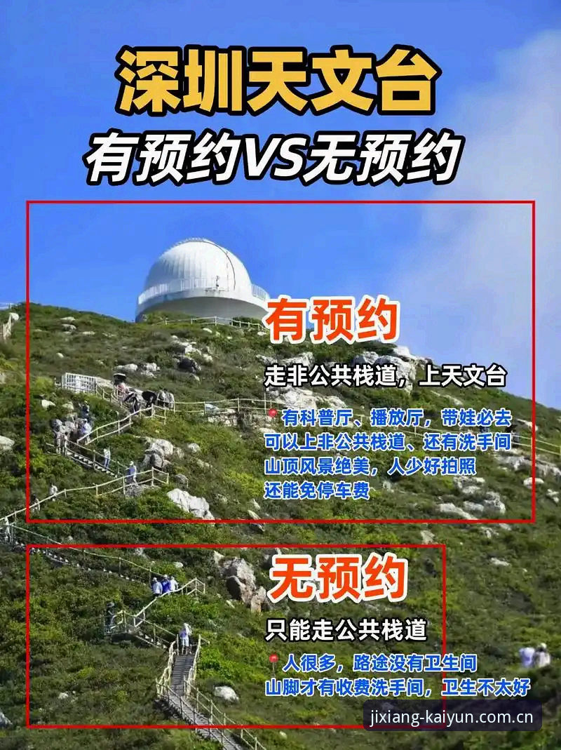 开云官方中文站APP登录下载使用技巧：避坑指南与实战心得